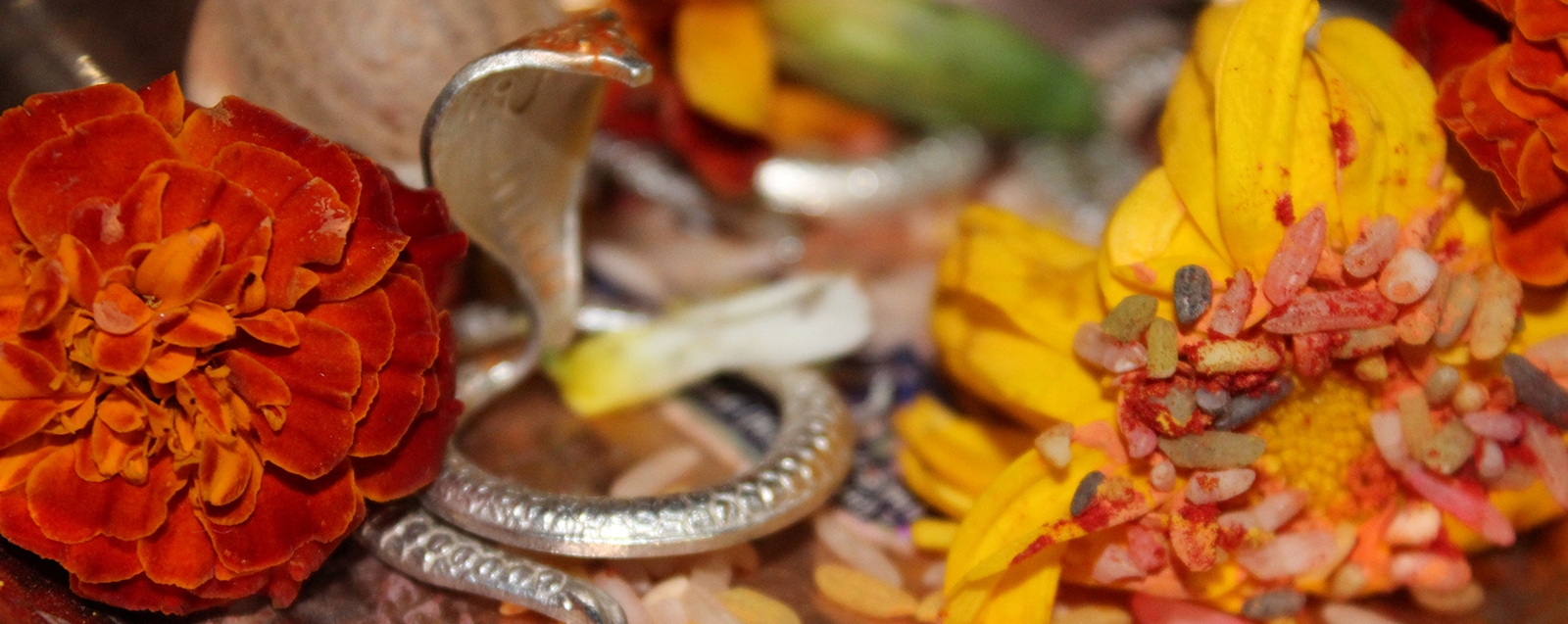 Narayan nagbali Puja, Narayan nagbali Puja trimbakeshwar